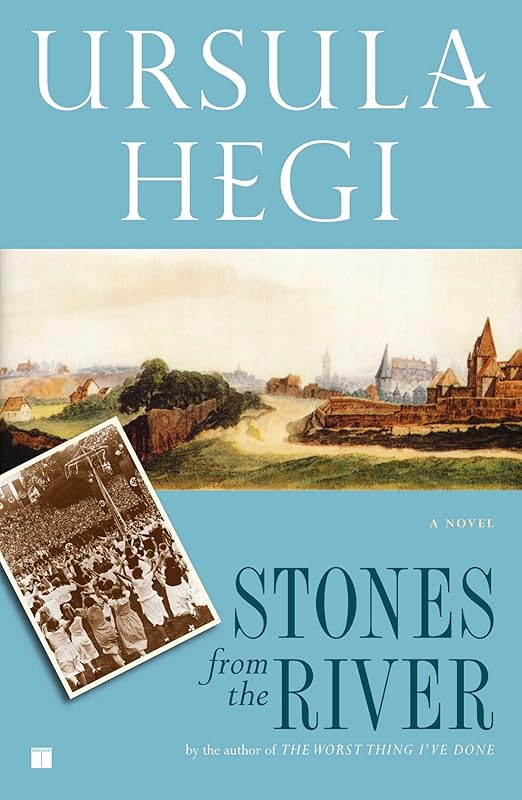 Stones from the River (Burgdorf Cycle Book 1) by Ursula Hegi