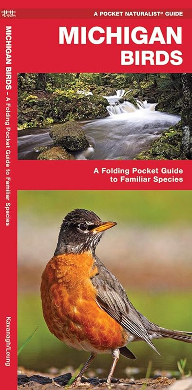 Michigan Birds: A Folding Pocket Guide to Familiar Species (Wildlife and Nature Identification) by James Kavanagh Waterford Press