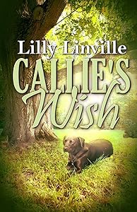 Callie's Wish by Lilly Linville