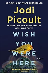 Wish You Were Here: A Novel