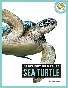 Sea Turtle (Spotlight on Nature)
