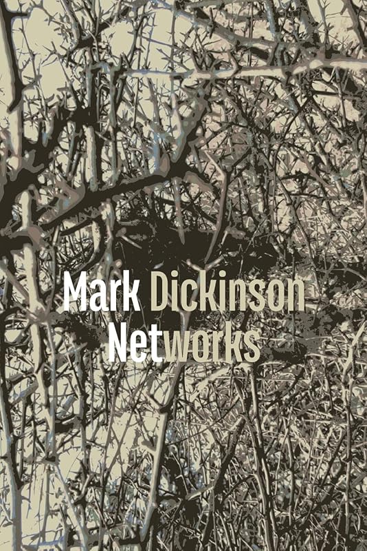 Networks by Mark Dickinson
