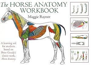 Horse Anatomy Workbook: A Learning Aid for Students Based on Peter Goody's Classic Work, Horse Anatomy by Maggie Raynor