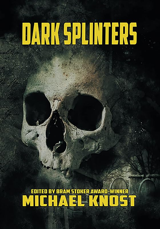 Dark Splinters by Michael Knost