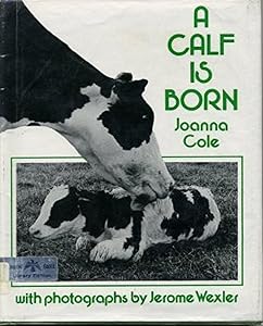 A Calf Is Born