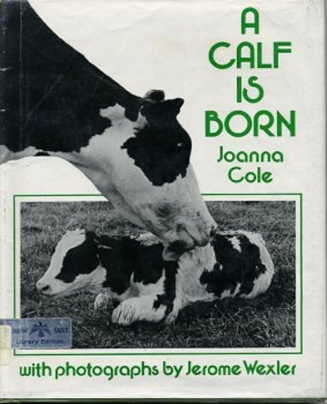 A Calf Is Born by Joanna Cole
