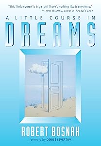 A Little Course in Dreams by Robert Bosnak