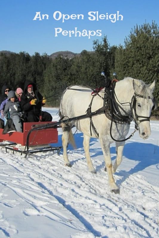 An Open Sleigh Perhaps by Barry G Taylor