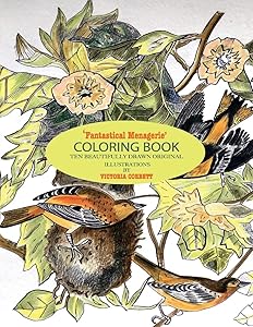 Fantastical Menagerie, Coloring Book: Ten Beautifully drawn original illustrations by Victoria Corbett