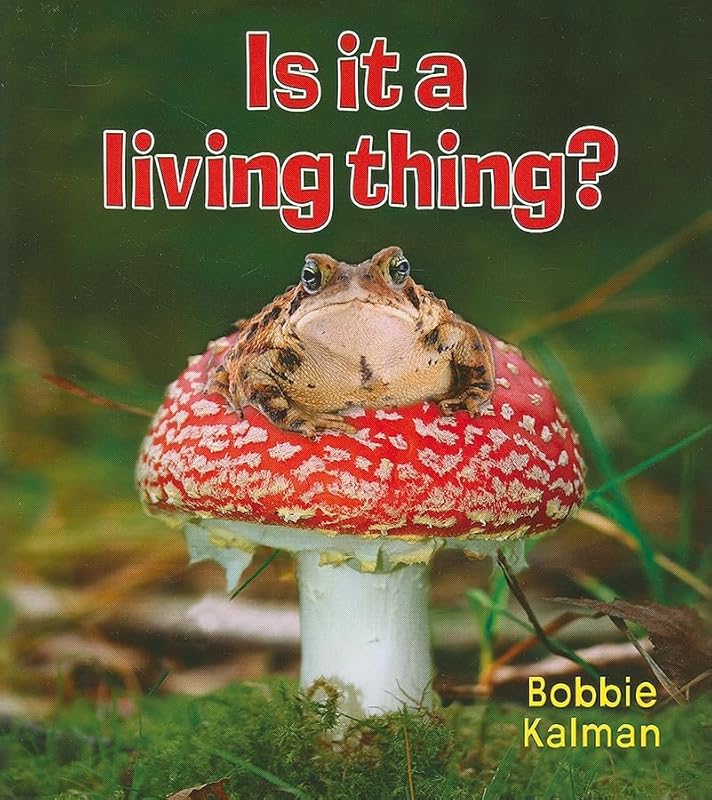 Is It a Living Thing? (Introducing Living Things) by Bobbie Kalman
