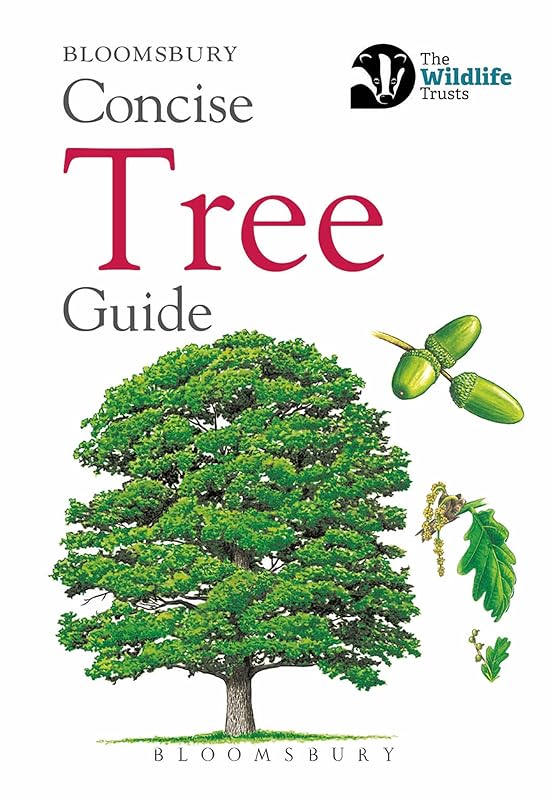 Concise Tree Guide (Concise Guides) by Bloomsbury Publishing