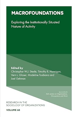 Macrofoundations: Exploring the Situated Nature of Activity (Research in the Sociology of Organizations, 68)