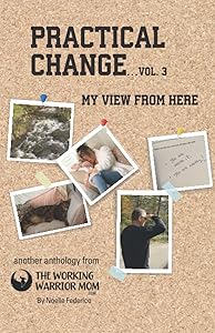 Practical Change...Vol. 3: My View from Here by Noelle Federico