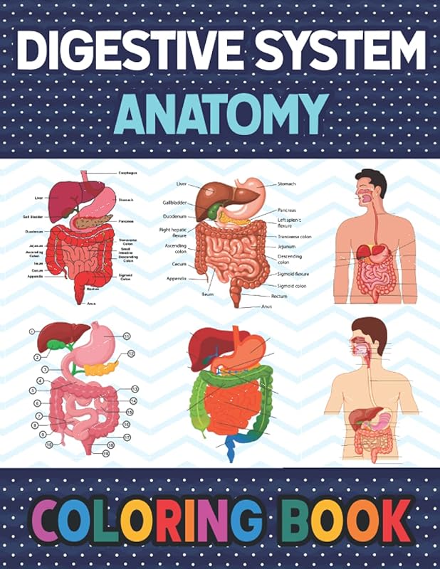 Digestive System Anatomy Coloring Book: Human Digestive System Anatomy Self test Guide for Anatomy Students. Human Body Art & Anatomy Workbook for ... Book for Human Anatomy Students & Teachers. by Orasapihiabell Publication