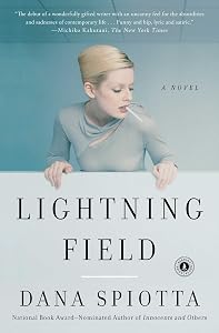 Lightning Field: A Novel