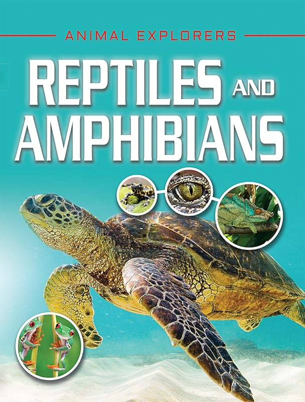 Reptiles and Amphibians (Animal Explorers) by Michael Leach