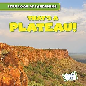 That's a Plateau! (Let's Look at Landforms)