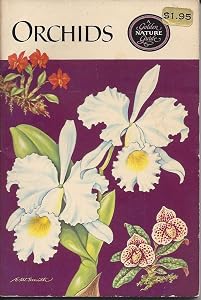 Orchids by Floyd Stephen Shuttleworth