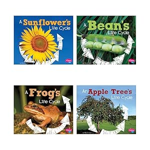 Explore Life Cycles by Mary R Dunn