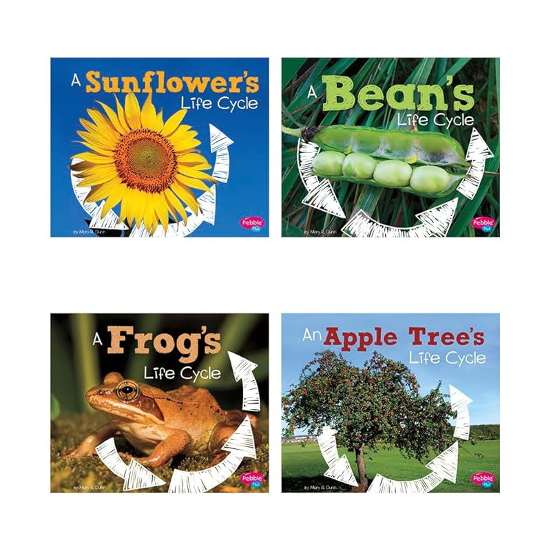 Explore Life Cycles by Mary R Dunn