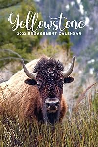 Yellowstone 2022 Engagement Calendar: Get Organized With This Beautiful 6x9 Monthly and Weekly Desk Calendar, a Place for Notes, Names, Addresses, and Passwords by Kimberly Coombs