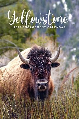 Yellowstone 2022 Engagement Calendar: Get Organized With This Beautiful 6x9 Monthly and Weekly Desk Calendar, a Place for Notes, Names, Addresses, and Passwords