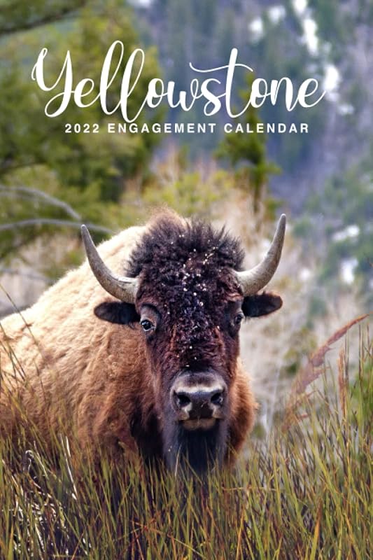 Yellowstone 2022 Engagement Calendar: Get Organized With This Beautiful 6x9 Monthly and Weekly Desk Calendar, a Place for Notes, Names, Addresses, and Passwords by Kimberly Coombs