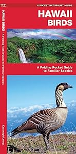 Hawaii Birds: A Folding Pocket Guide to Familiar Species (A Pocket Naturalist Guide)