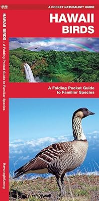 Hawaii Birds: A Folding Pocket Guide to Familiar Species (A Pocket Naturalist Guide)