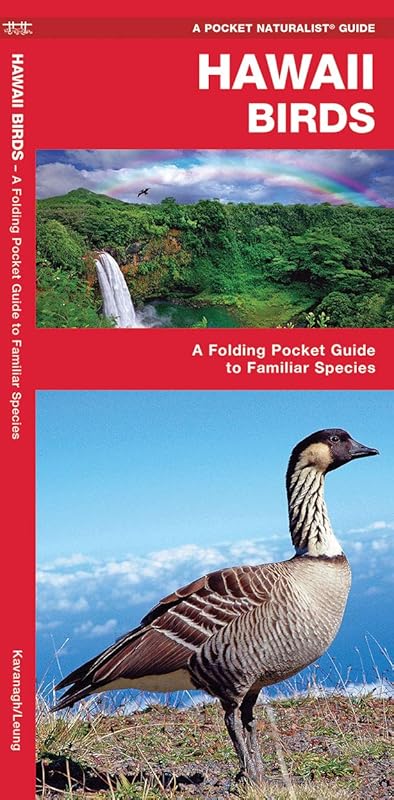 Hawaii Birds: A Folding Pocket Guide to Familiar Species (A Pocket Naturalist Guide) by James Kavanagh