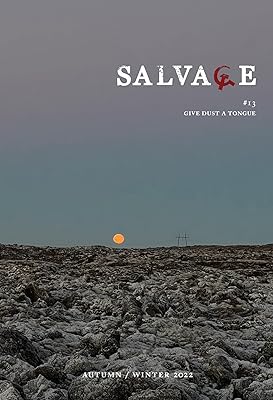 Salvage #13: Give Dust a Tongue