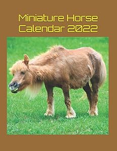 Miniature Horse Calendar 2022 by Corn