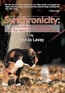 Synchronicity: Coincidence, Happening at the Same Time, Simultaneous by Sylvia Lavey