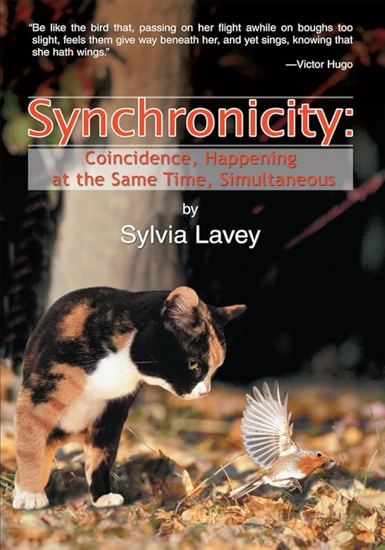 Synchronicity: Coincidence, Happening at the Same Time, Simultaneous by Sylvia Lavey