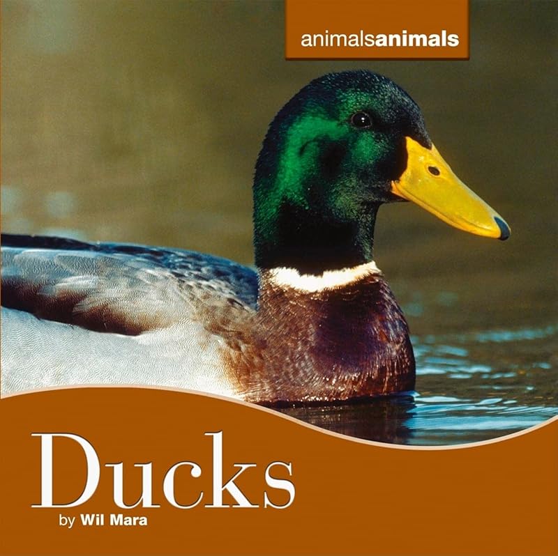 Ducks (Animals Animals) by Wil Mara