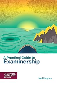 A Practical Guide to Examinership by Neil Hughes