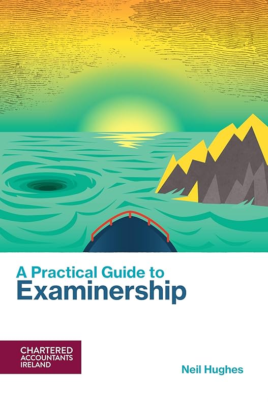 A Practical Guide to Examinership by Neil Hughes