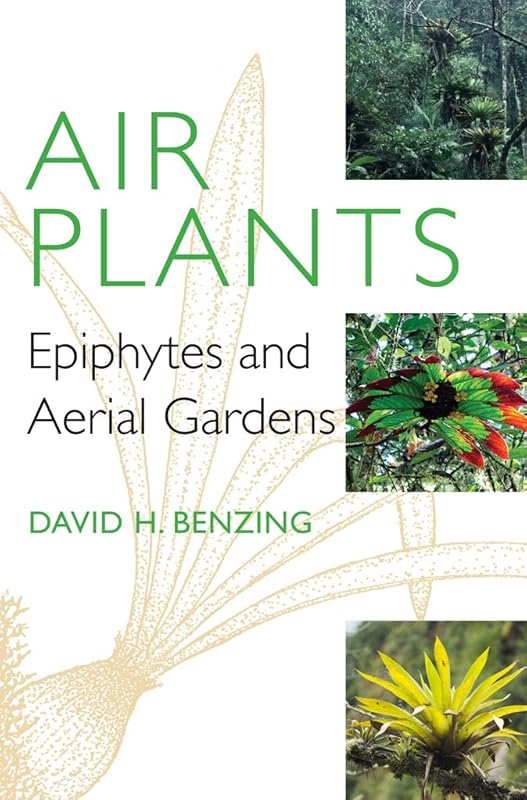 Air Plants: Epiphytes and Aerial Gardens by David H. Benzing