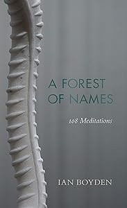 A Forest of Names: 108 Meditations (Wesleyan Poetry Series) by Ian Boyden