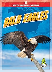 Bald Eagles
