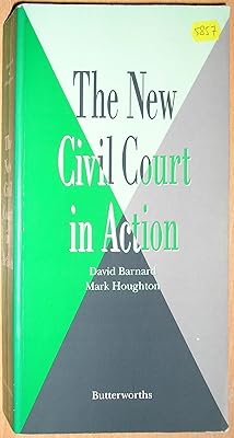 The New Civil Court in Action