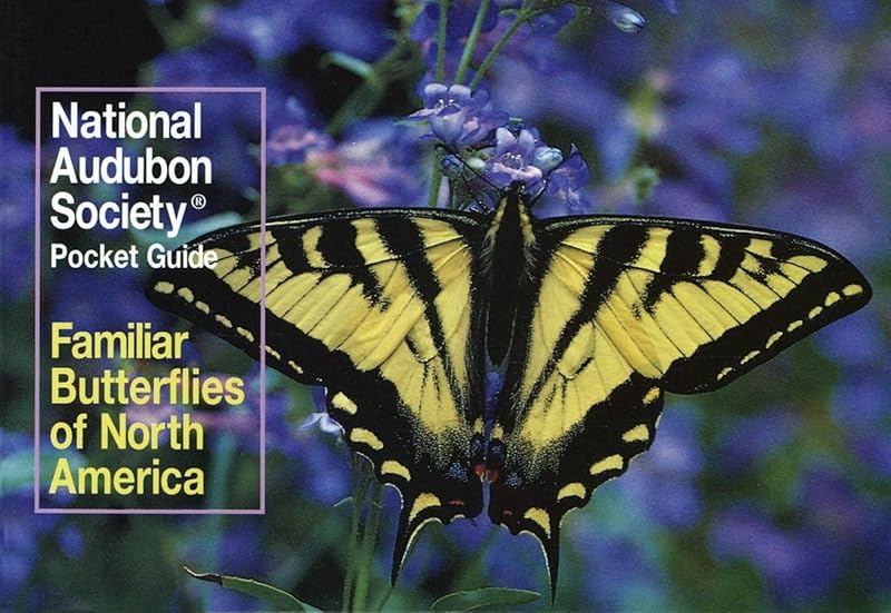 National Audubon Society Pocket Guide: Familiar Butterflies of North America (National Audubon Society Pocket Guides) by National Audubon Society