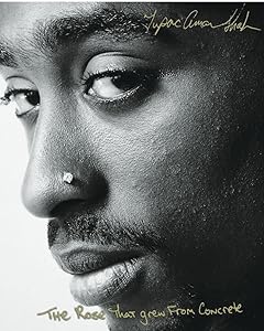 The Rose That Grew From Concrete by Tupac Shakur