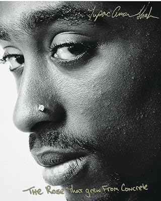 The Rose That Grew From Concrete