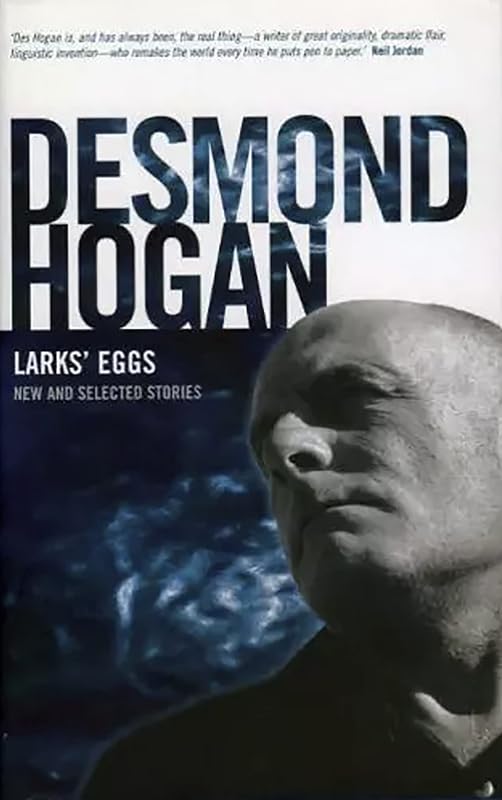 Larks' Eggs: New and Selected Stories by Desmond Hogan