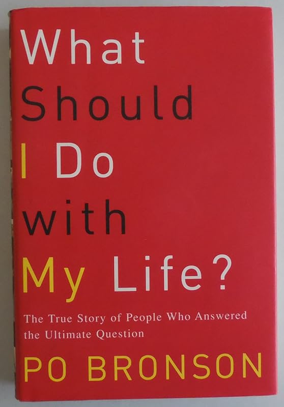 What Should I Do With My Life: The True Story of People Who Answered the Ultimate Question by Po Bronson