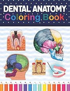 Dental Anatomy Coloring Book: Fun and Easy Adult Coloring Book for Dental Assistants, Dental Students, Dental Hygienists, Dental Therapists, ... Dentists. Dental Assisting Exam Review Book.