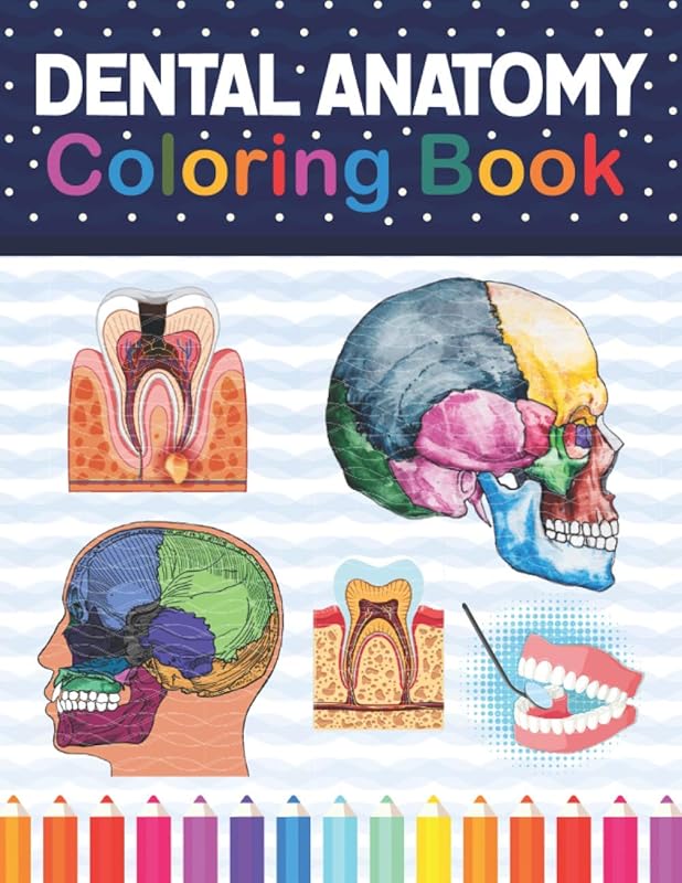 Dental Anatomy Coloring Book: Fun and Easy Adult Coloring Book for Dental Assistants, Dental Students, Dental Hygienists, Dental Therapists, ... Dentists. Dental Assisting Exam Review Book. by Samniczell Publication