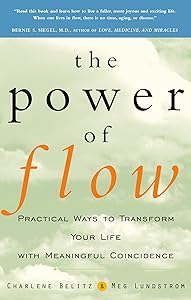 The Power of Flow: Practical Ways to Transform Your Life with Meaningful Coincidence by Charlene Belitz