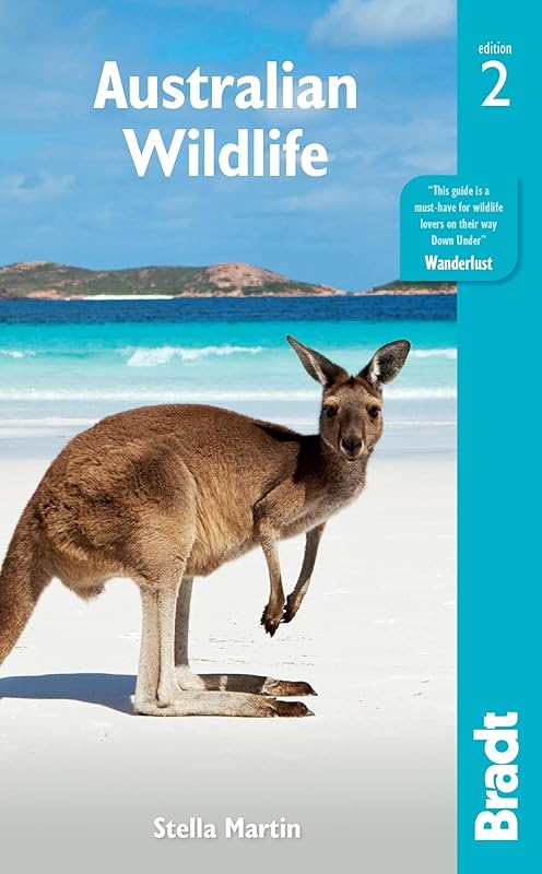Australian Wildlife (Bradt Travel Guide) by Stella Martin
